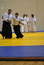 2013 trening aikido024