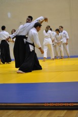 2013 trening aikido025