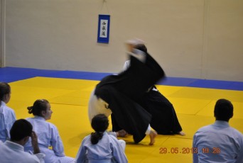 2013 trening aikido027