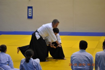 2013 trening aikido029