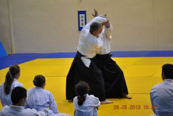 2013 trening aikido030