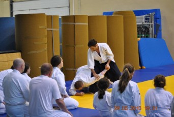 2013 trening aikido032