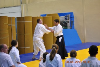 2013 trening aikido033