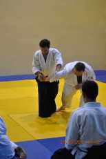 2013 trening aikido035