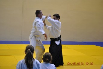 2013 trening aikido036