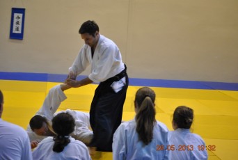 2013 trening aikido037