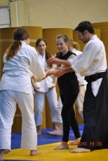 2013 trening aikido040
