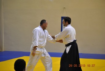 2013 trening aikido042