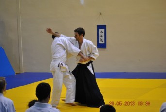 2013 trening aikido043