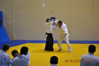 2013 trening aikido045