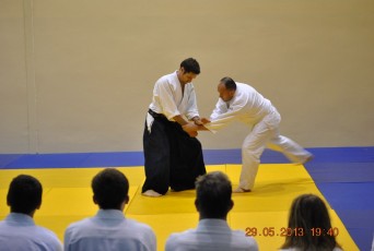2013 trening aikido049