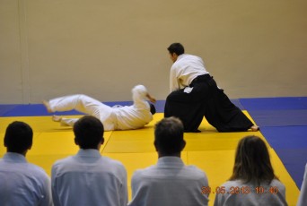 2013 trening aikido052