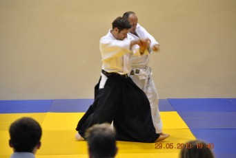 2013 trening aikido054