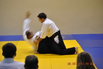 2013 trening aikido056