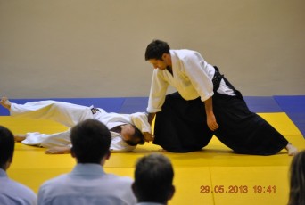 2013 trening aikido057