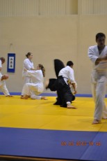 2013 trening aikido059