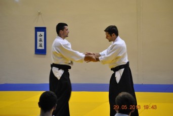 2013 trening aikido061