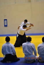 2013 trening aikido063