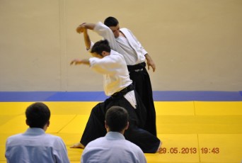 2013 trening aikido065