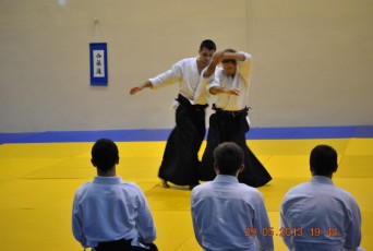 2013 trening aikido067