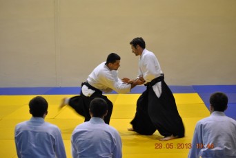 2013 trening aikido068