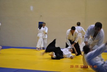 2013 trening aikido069