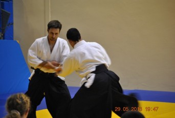 2013 trening aikido071