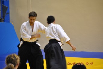 2013 trening aikido072