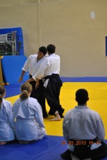 2013 trening aikido074
