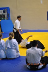 2013 trening aikido078