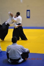 2013 trening aikido079