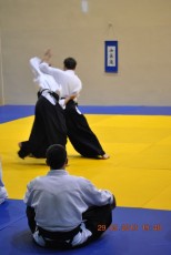 2013 trening aikido080