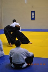 2013 trening aikido081