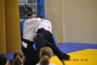 2013 trening aikido087
