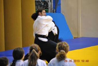 2013 trening aikido088