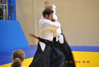2013 trening aikido089