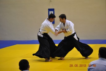 2013 trening aikido090