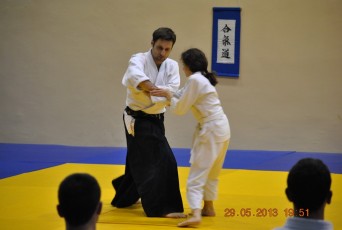 2013 trening aikido091