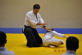 2013 trening aikido094