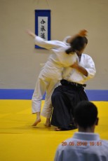 2013 trening aikido095