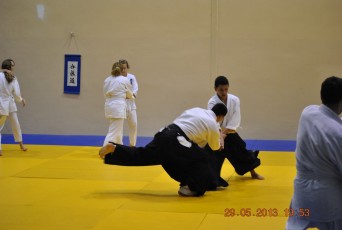 2013 trening aikido100