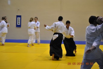 2013 trening aikido102