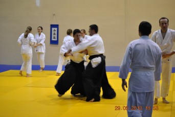 2013 trening aikido103