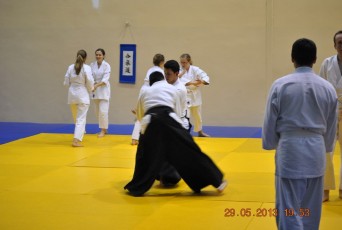 2013 trening aikido104