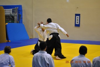 2013 trening aikido107