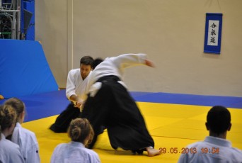 2013 trening aikido108