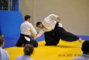 2013 trening aikido109