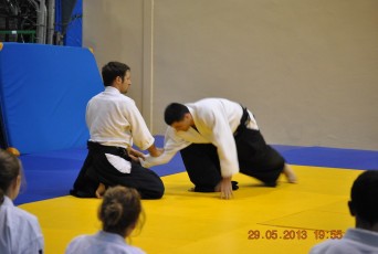 2013 trening aikido110