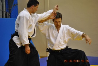 2013 trening aikido112