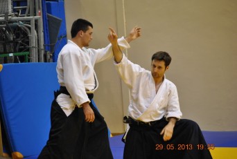 2013 trening aikido113
